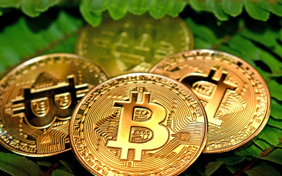 Bitcoin alternatives: the most important other cryptocurrencies